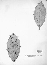Image Associated With the Occurence